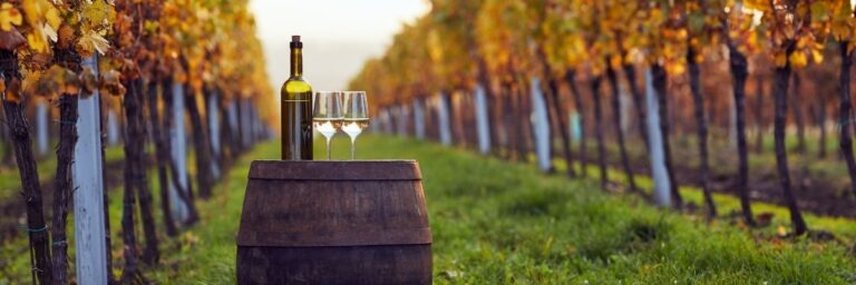 Kapadokya’da Bağ Bozumu ve Şarap Tadımı Deneyimi